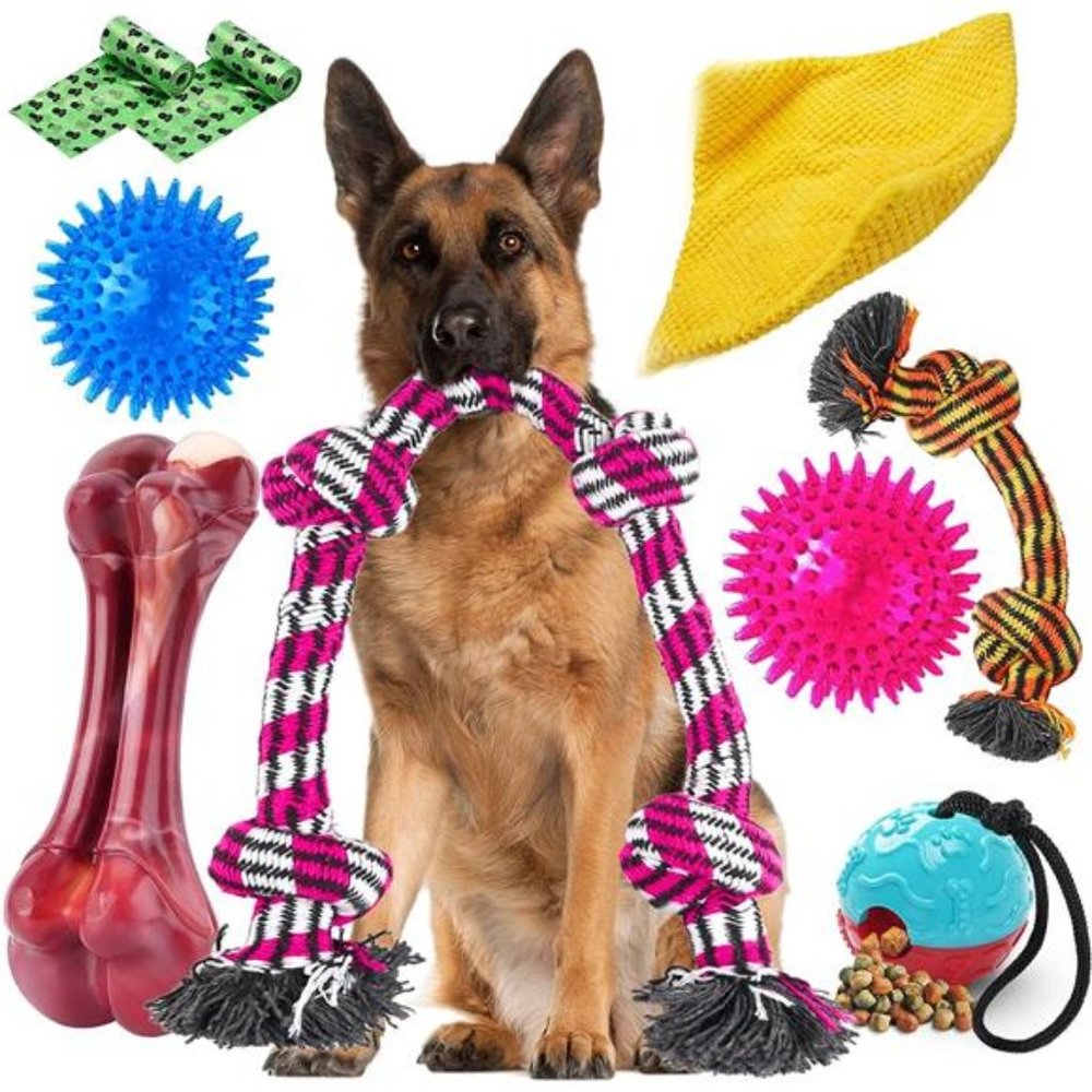 Heavy Duty Various Dog Chew Toys for Aggressive Chewers - 9 Pack Value Set